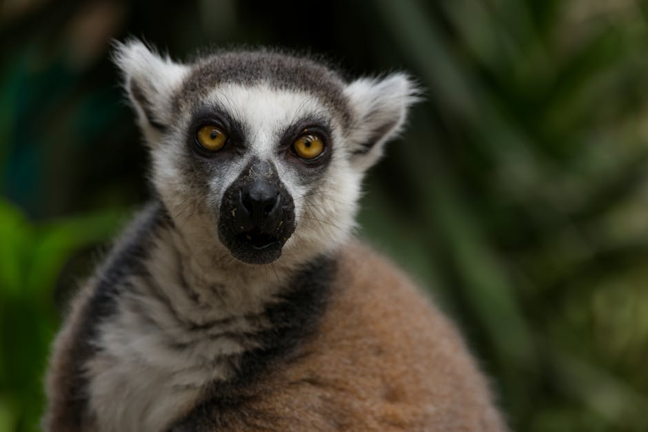 告別惱人去眼袋，重拾明亮雙眸的祕密！